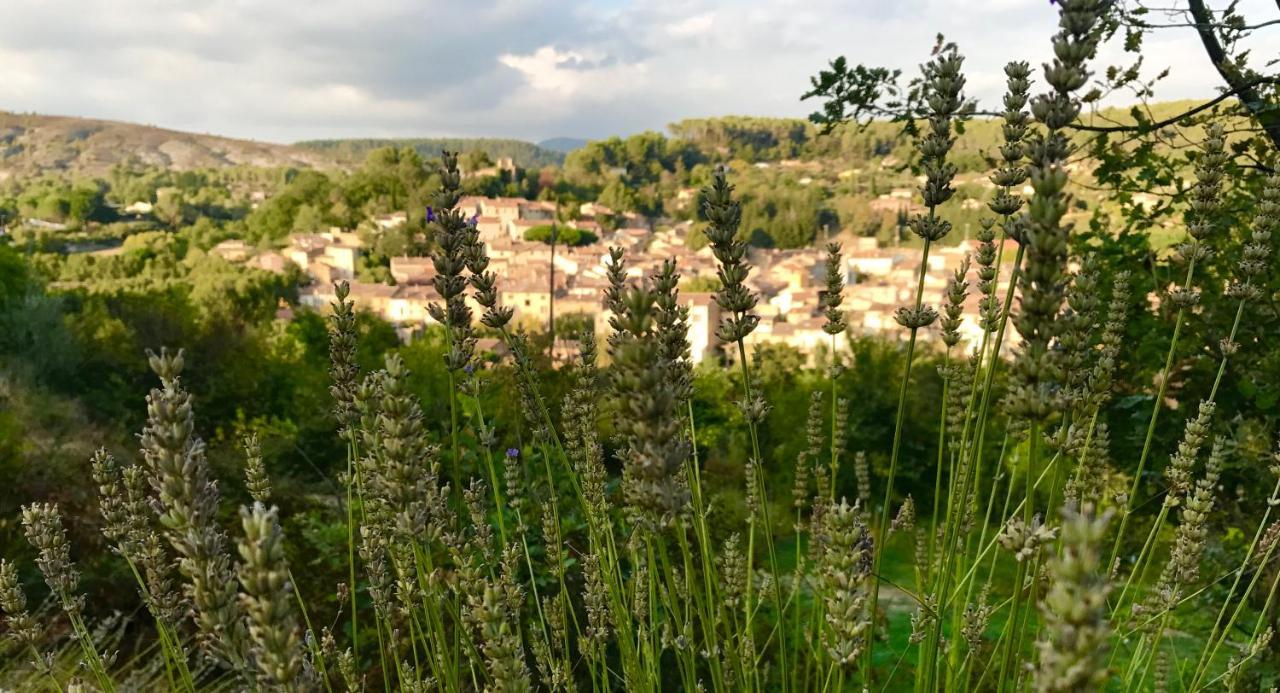 Appartement Loft provençal à Salernes Extérieur photo